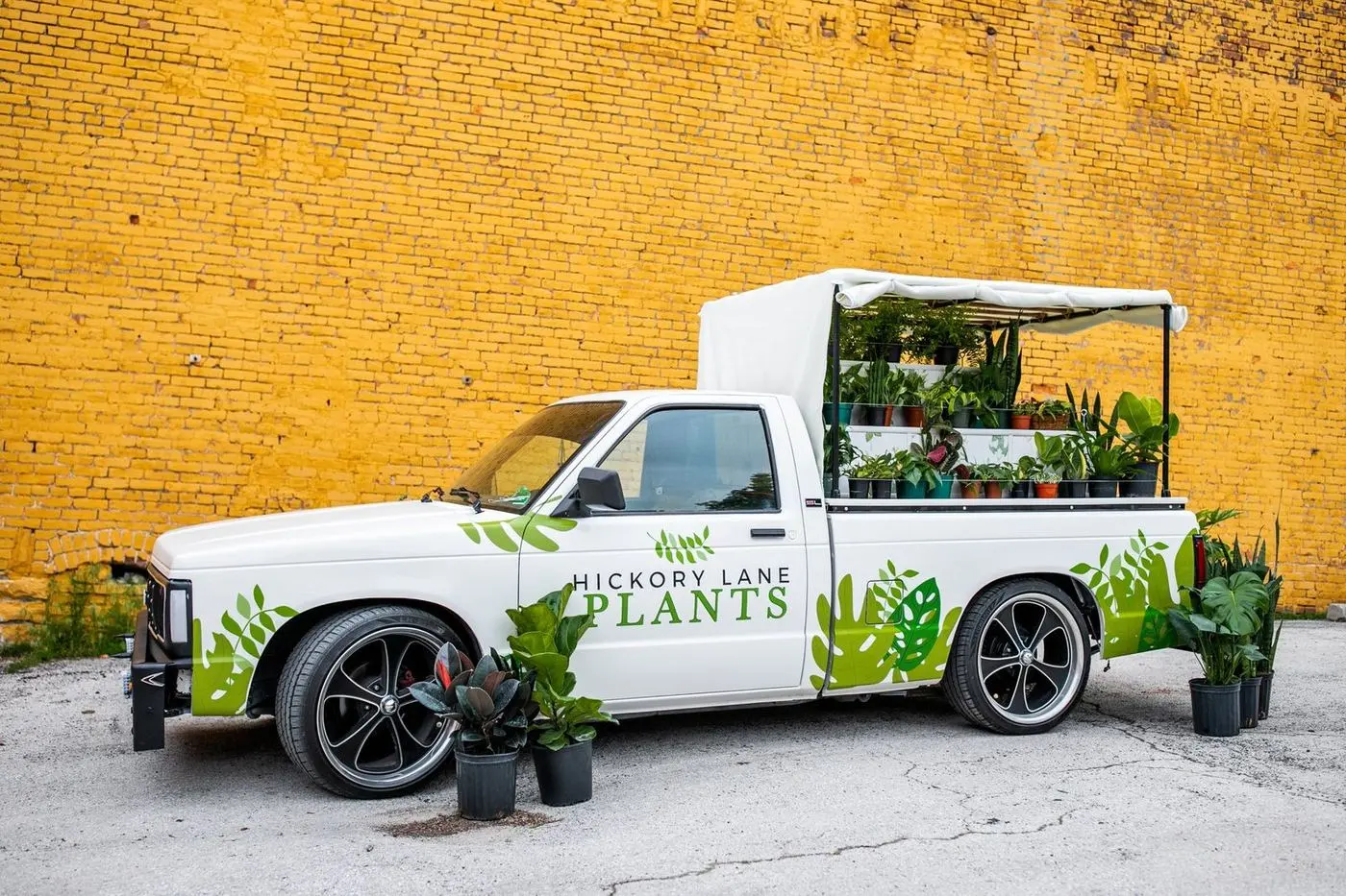 Mobile Joe from the front, plants staged around the wheels