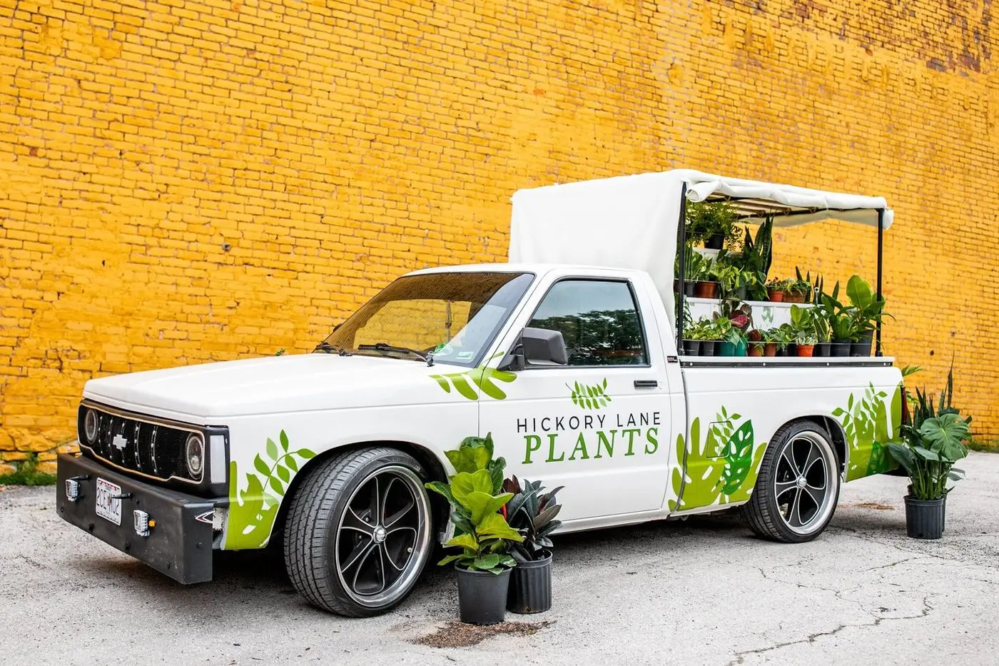 Mobile Joe, the Hickory Lane plant truck, canvas-topped bed full of plants against a yellow brick wall