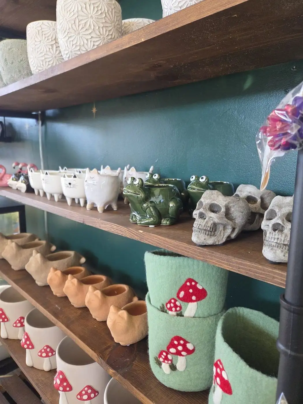 Pots & accessories