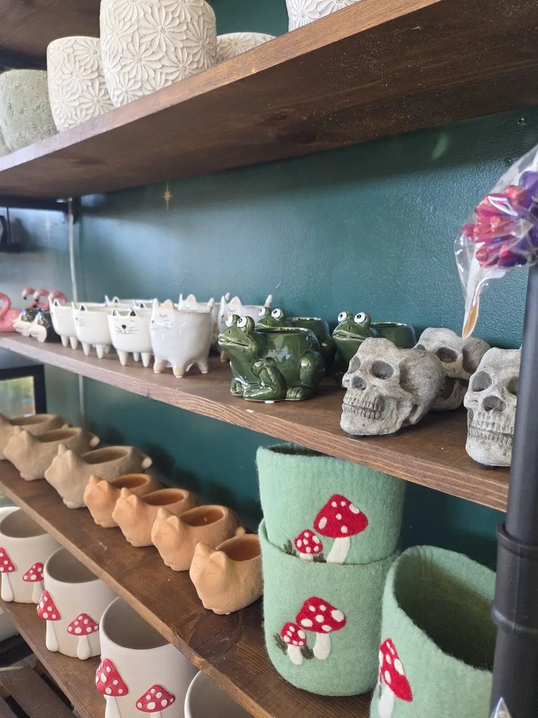 Shelves of curios: ceramic frogs, small skulls, felt mushrooms, and little gifts