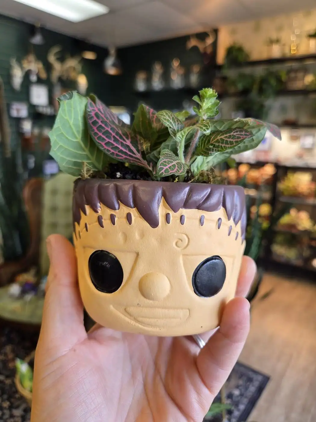 Rare & uncommon finds