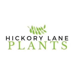 Hickory Lane Plants