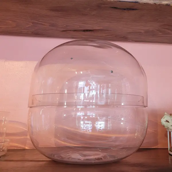 Full View Terrarium