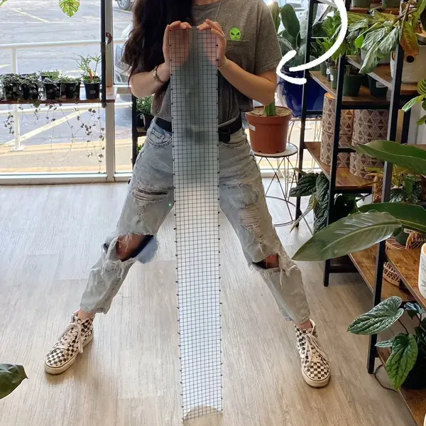Moss Pole 48' 4ft