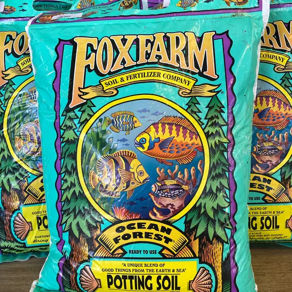 Ocean Forest 12 Qt