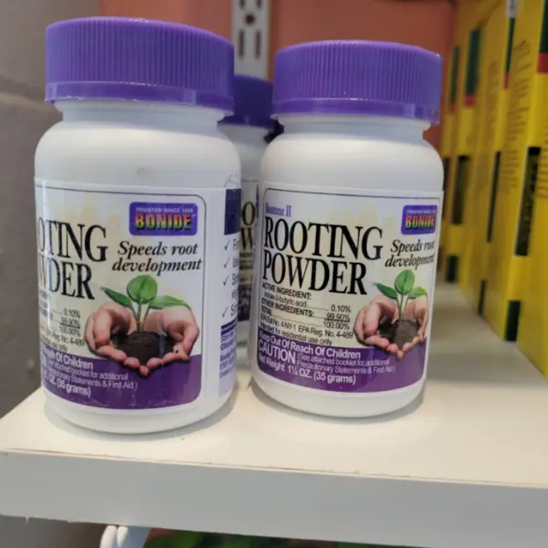 rooting powder