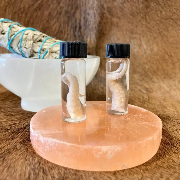 Octopus Tentacle Vial