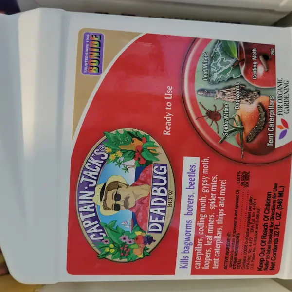 captain jacks Dead Bug Brew