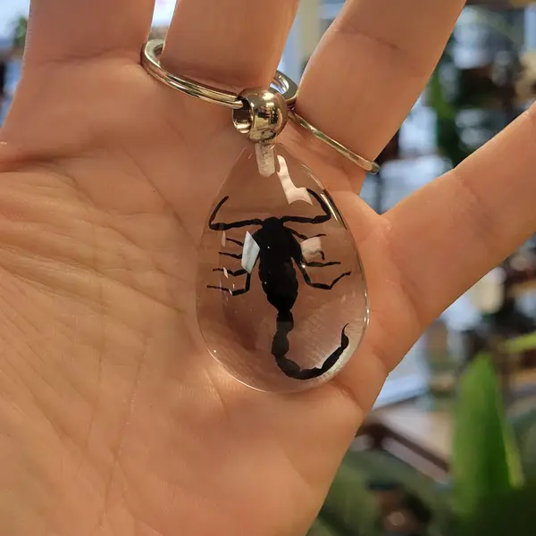 Scorpion Keychain