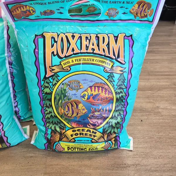 Ocean Forest 1.5 C.f.